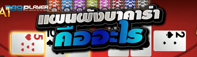 แผนผังบาคาร่า คืออะไร 