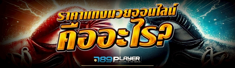 ราคา แทงมวยออนไลน์ คืออะไร?
