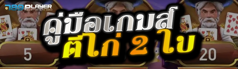 คู่มือเกมส์ตีไก่ 2 ใบ